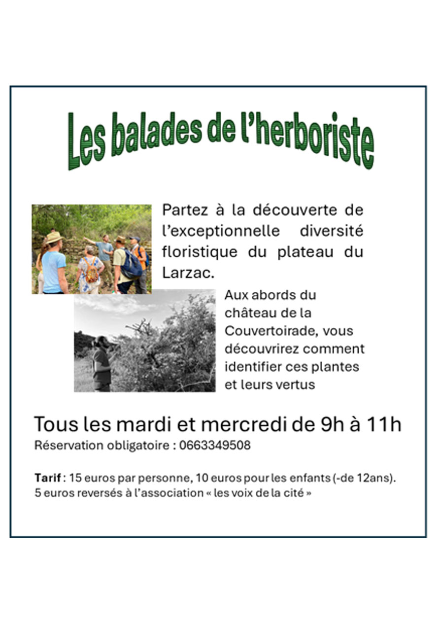 Les Balades de l’Herboriste