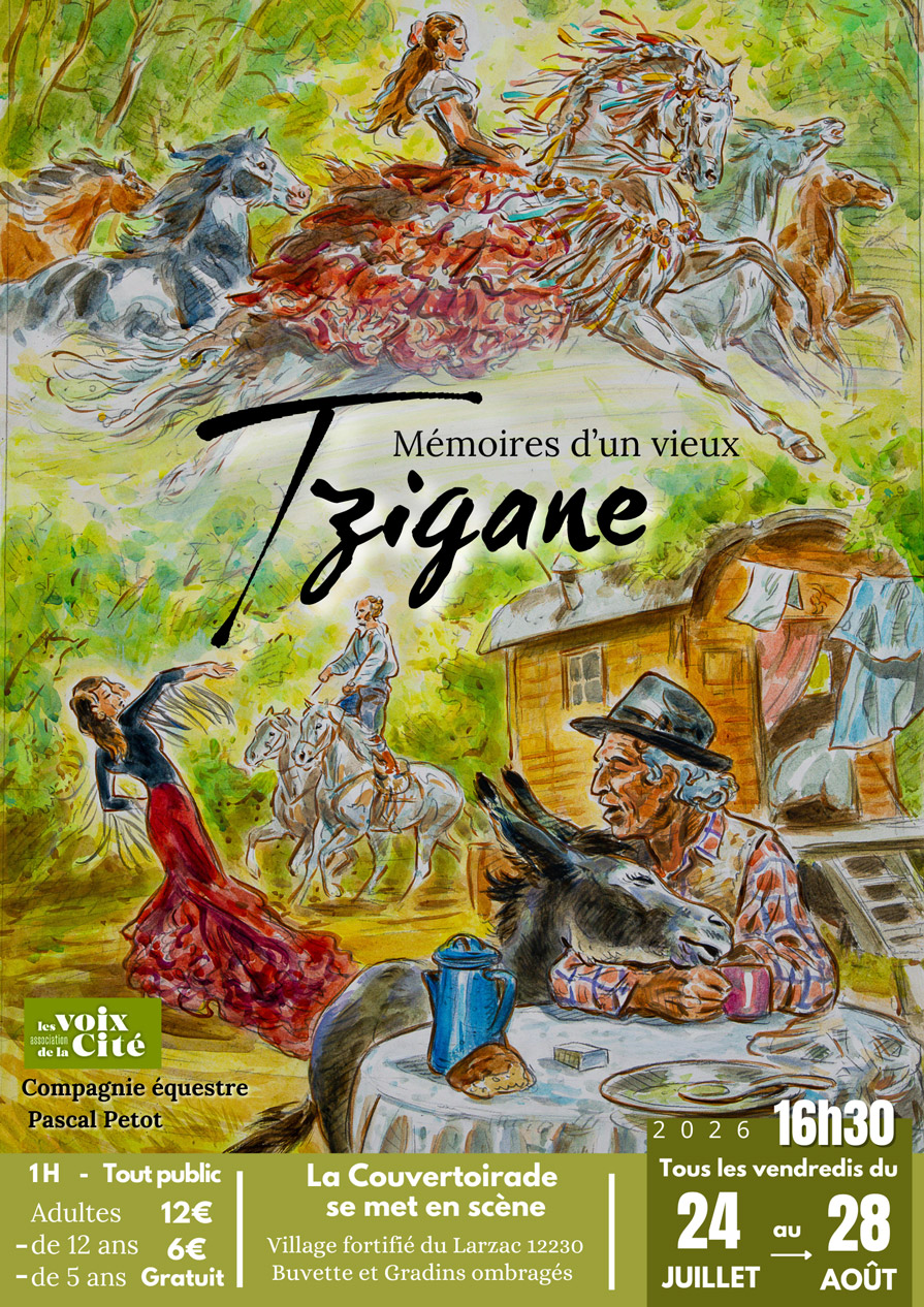 Mémoire d&rsquo;un vieux tzigane