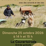 Animation chien au troupeau octobre